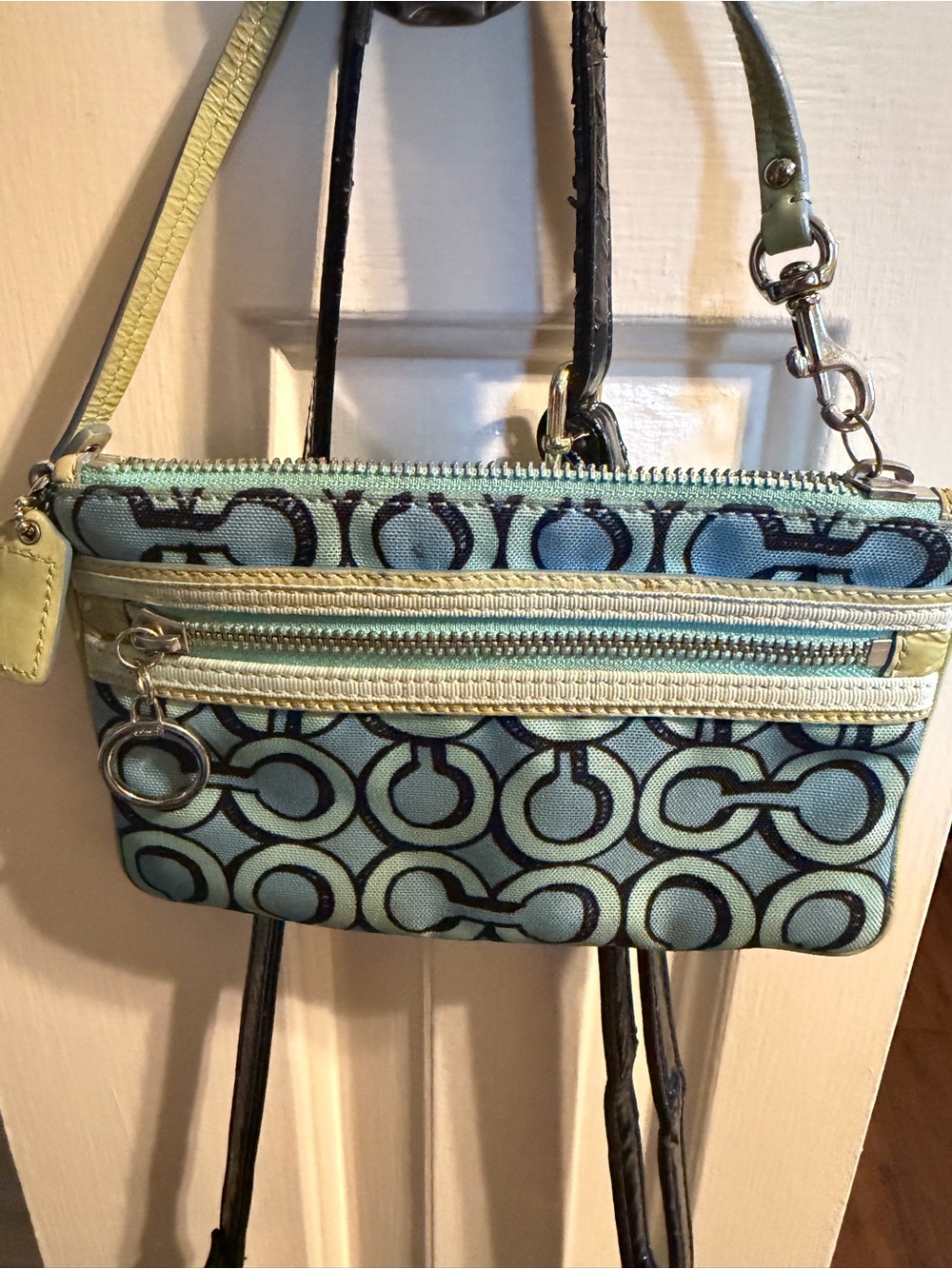 Coach poppy series Aqua Signature Mini  Wristlet
